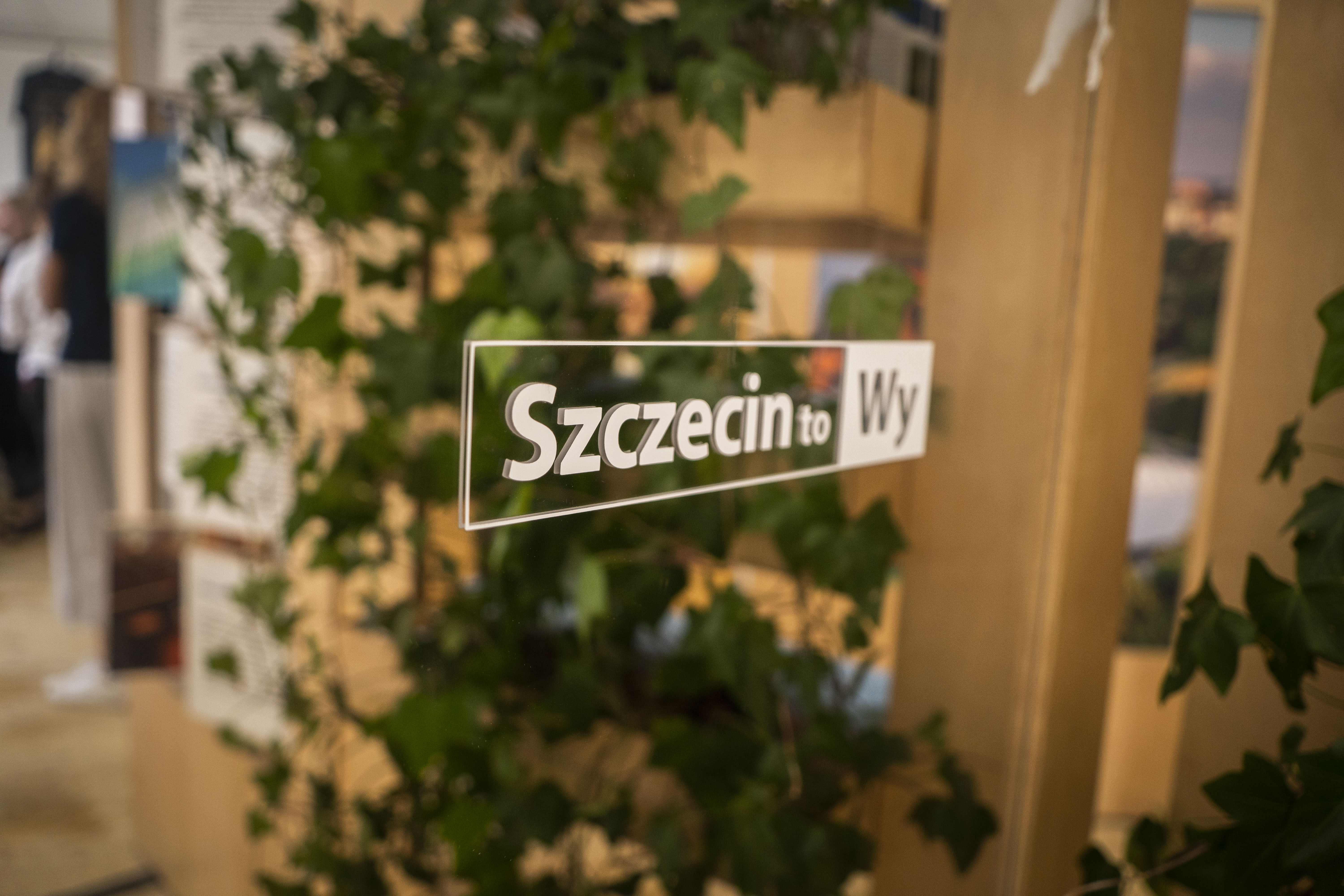 Szczecin to Wy