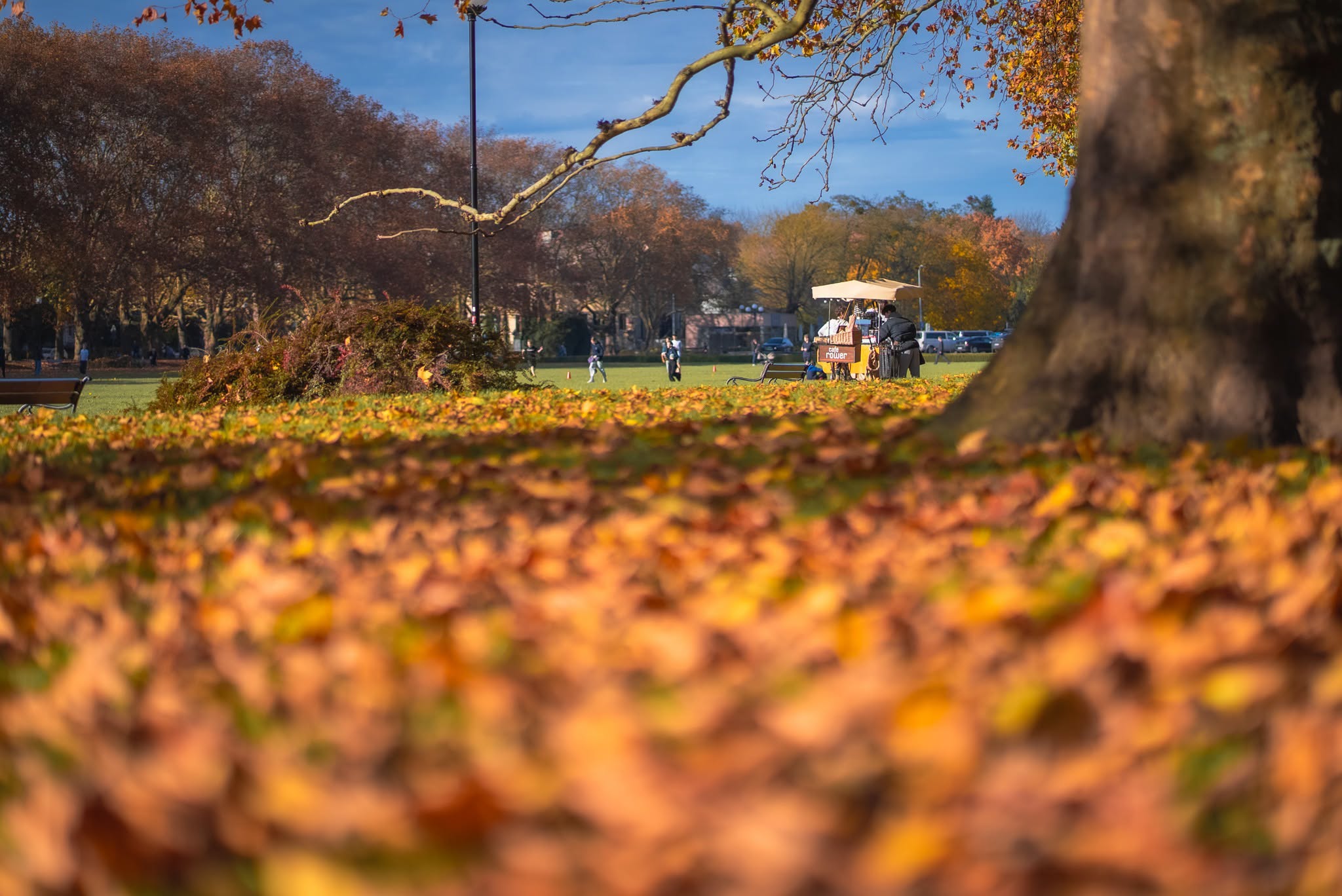 autumn