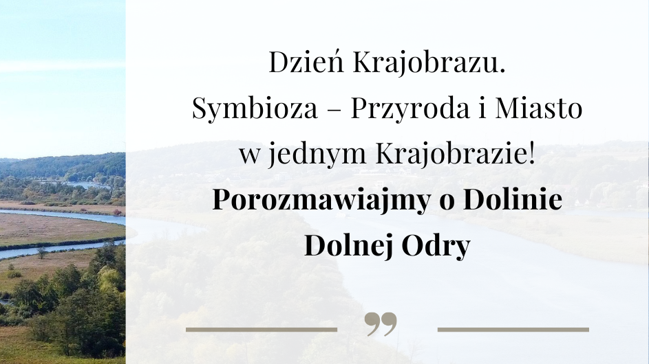 Dolina Dolnej Odry 