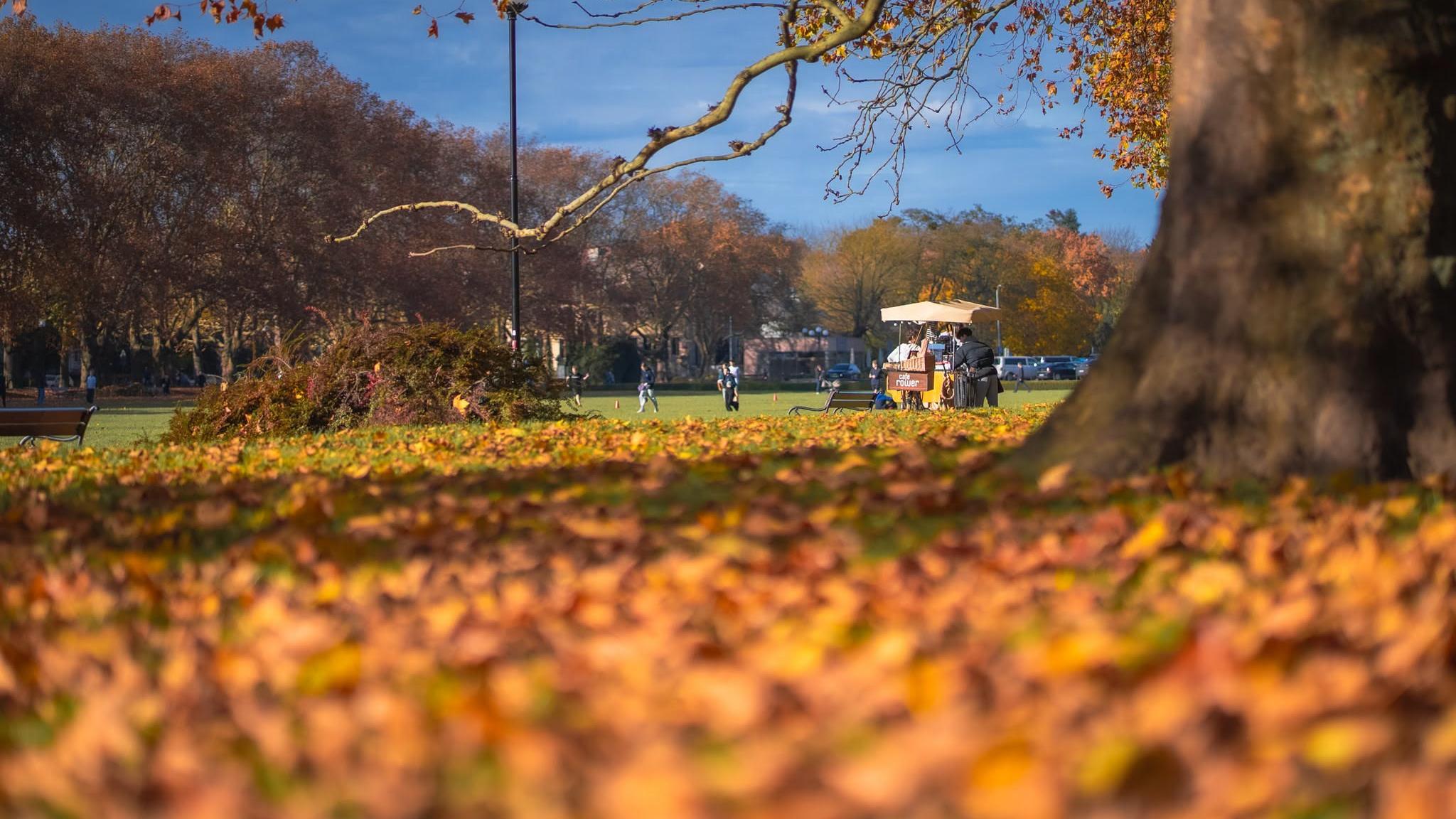 autumn
