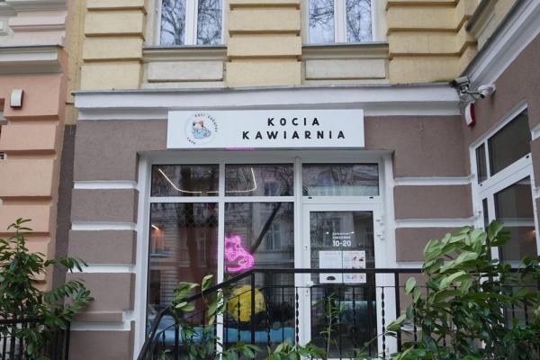 kocizakatek