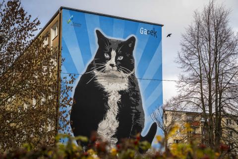 有名な街の猫が、今度は壁画に。の引用元掲載画像