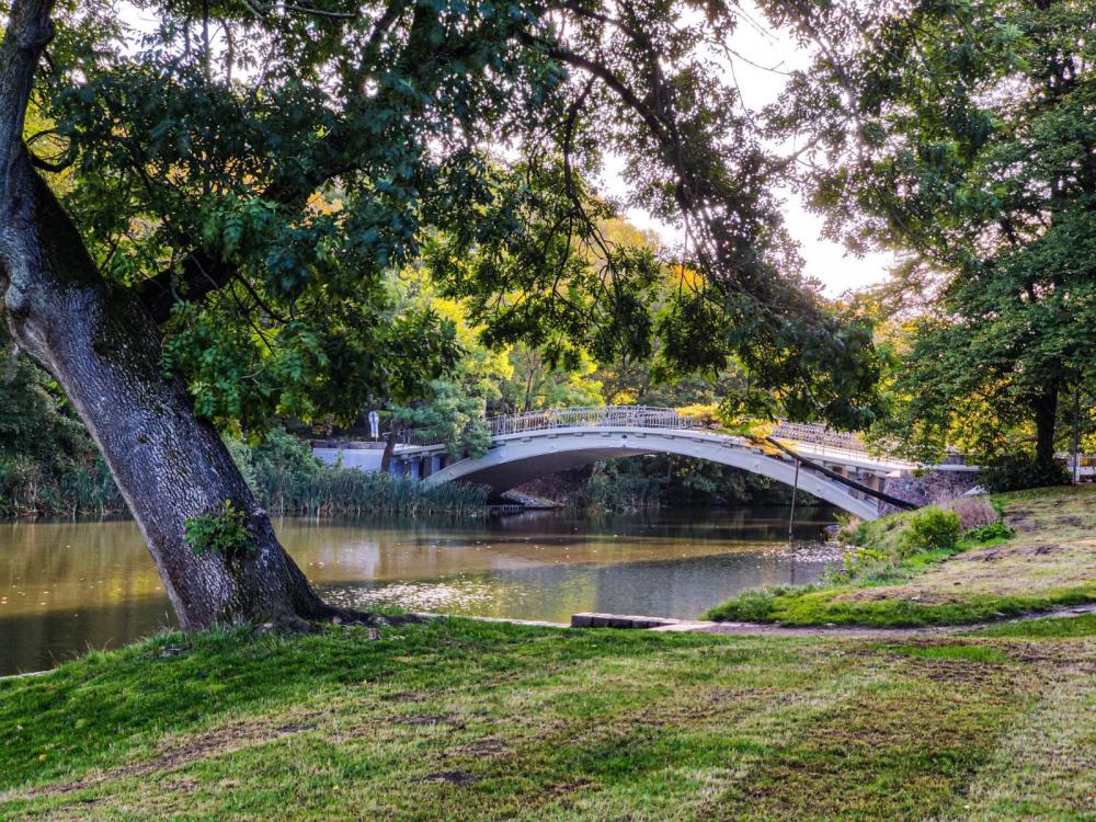 Mostek Park Kasprowicza