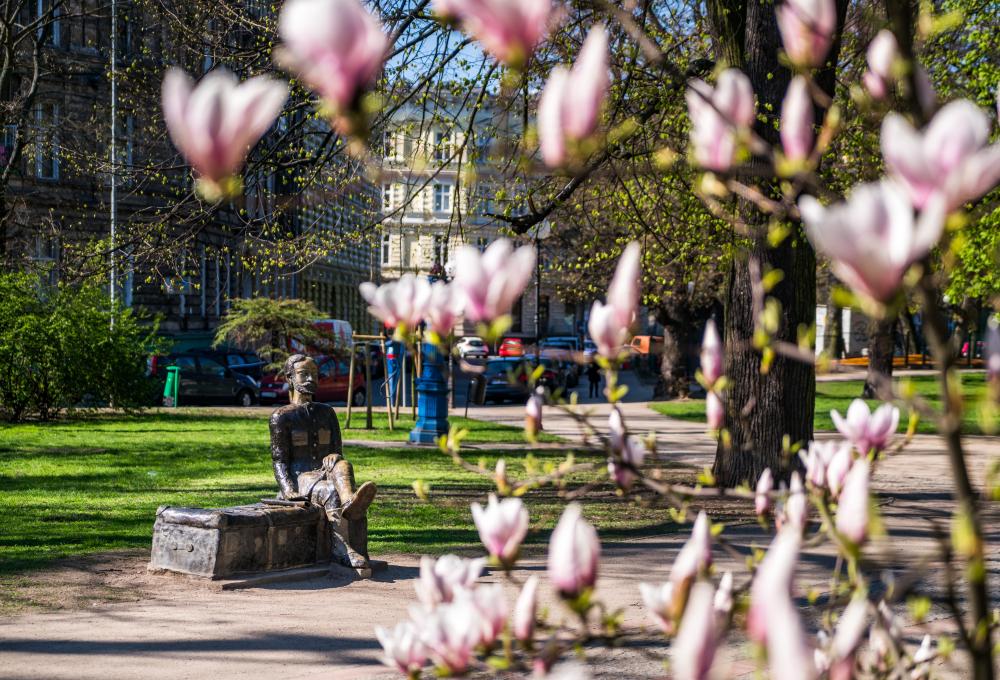 Park Andersa, Szczecin. Fot. Damian Róż