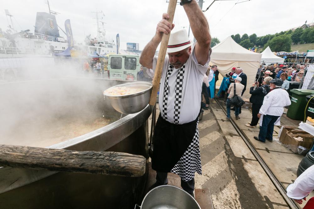 Piknik nad Odrą