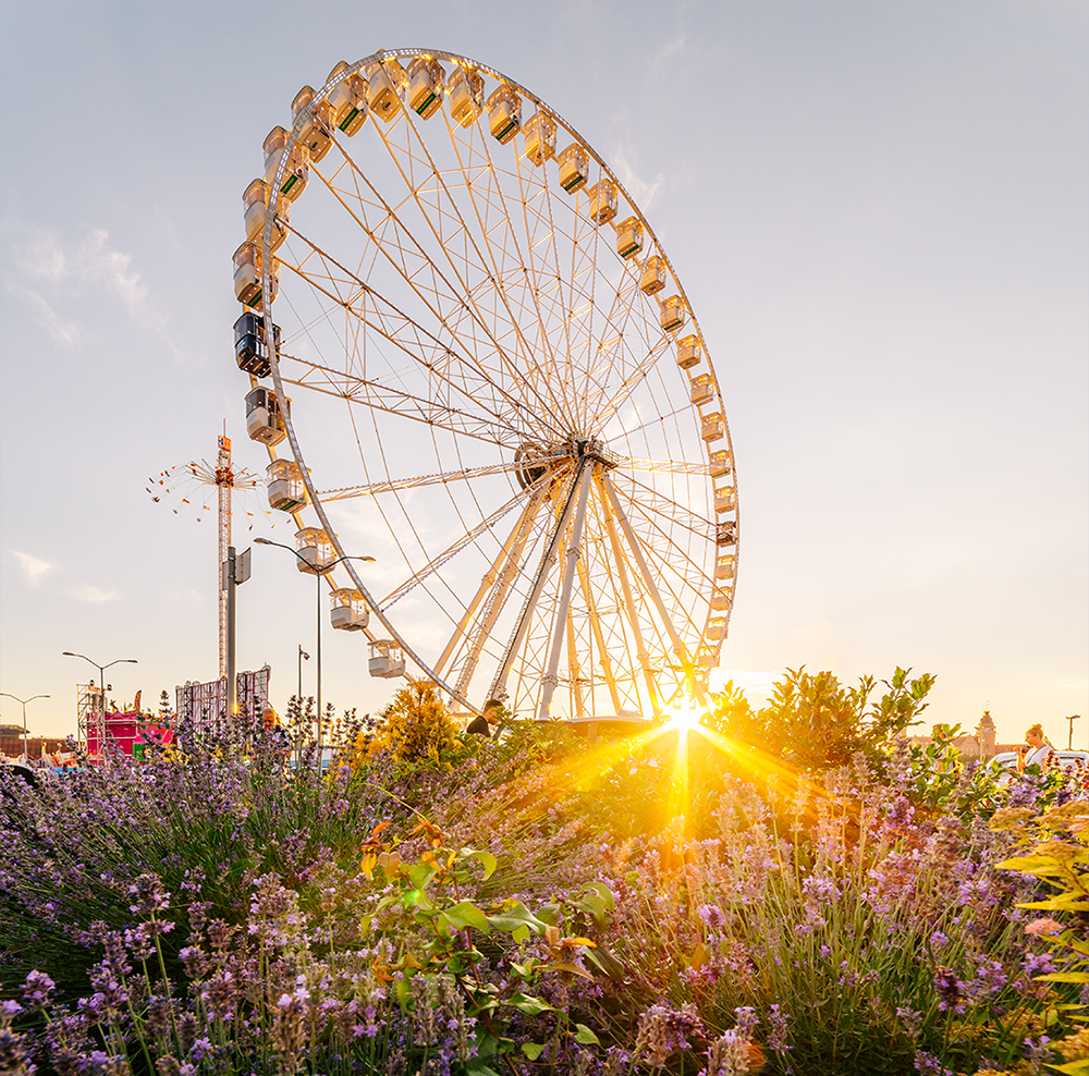 Wheel Of Szczecin