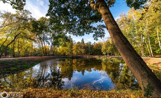 Park Leśny Arkoński